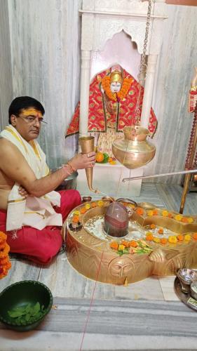 Patatsav 2024